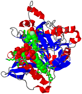 Image Asym./Biol. Unit - sites