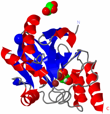 Image Asym./Biol. Unit