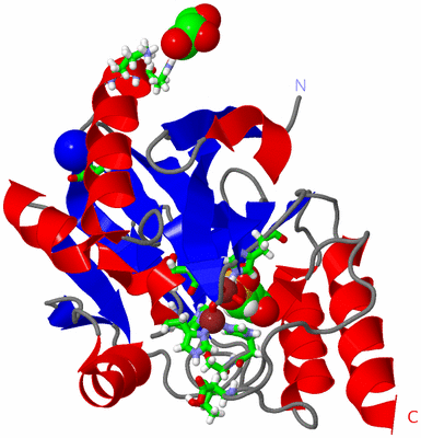 Image Asym./Biol. Unit - sites