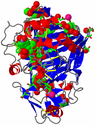 Image Asym./Biol. Unit - sites