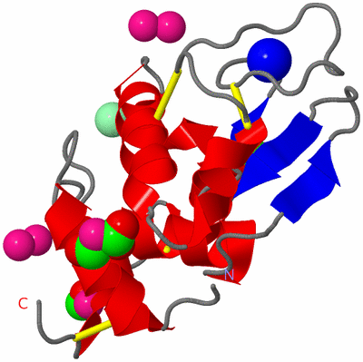 Image Asym./Biol. Unit