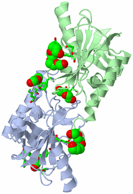 Image Asym./Biol. Unit - sites