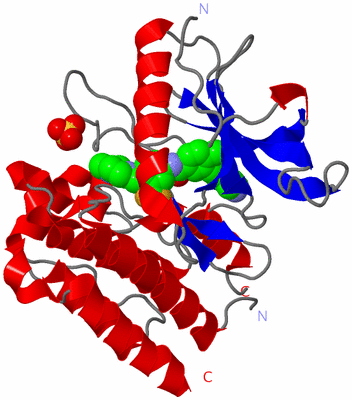 Image Asym./Biol. Unit