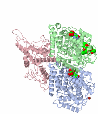 Image Asym./Biol. Unit