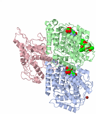 Image Asym./Biol. Unit