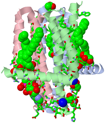 Image Asym./Biol. Unit - sites