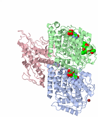 Image Asym./Biol. Unit