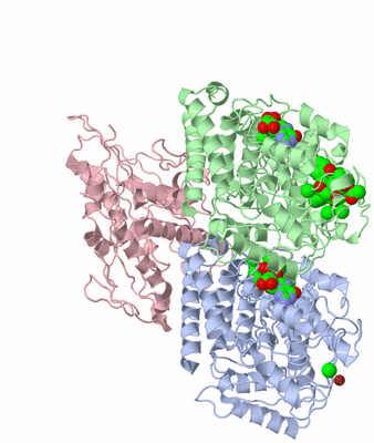 Image Asym./Biol. Unit - sites