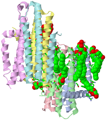 Image Asym. Unit - sites