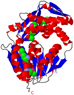 Image Asym./Biol. Unit