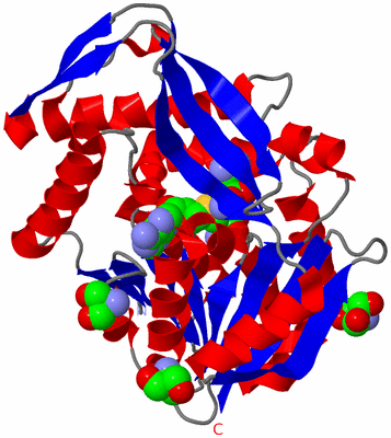 Image Asym./Biol. Unit