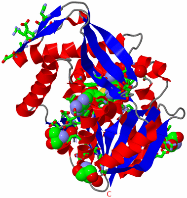 Image Asym./Biol. Unit - sites