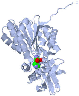 Image Biological Unit 1