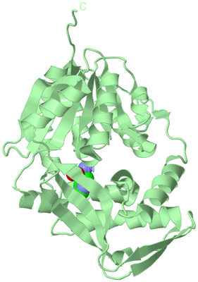 Image Biological Unit 2