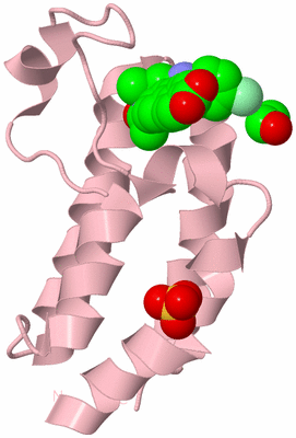 Image Biological Unit 3