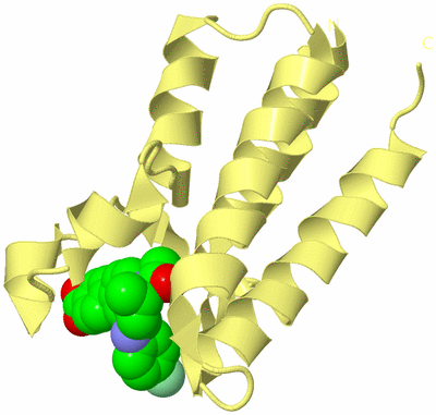 Image Biological Unit 3