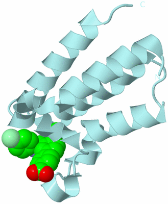 Image Biological Unit 5