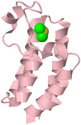 Image Biological Unit 3