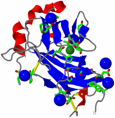 Image Asym./Biol. Unit - sites