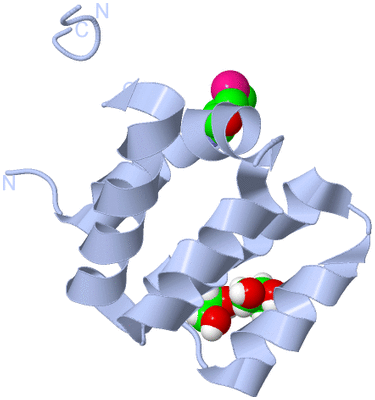 Image Biological Unit 1