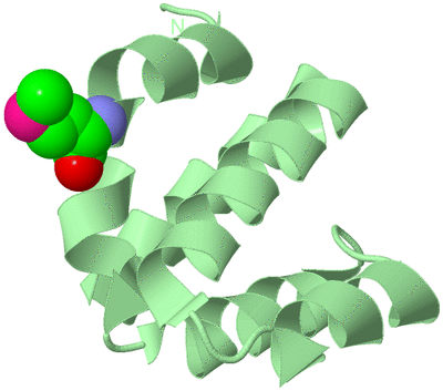 Image Biological Unit 2