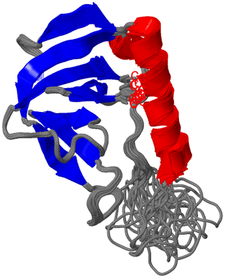 Image NMR Structure - all models