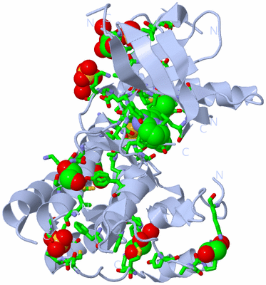 Image Biol. Unit 1 - sites