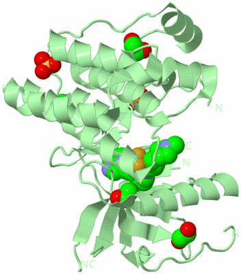 Image Biological Unit 2