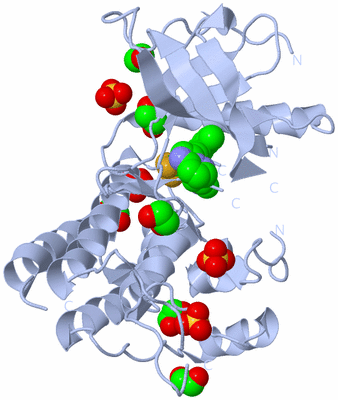 Image Biological Unit 1