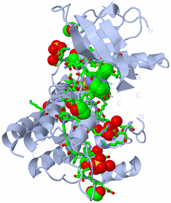 Image Biol. Unit 1 - sites