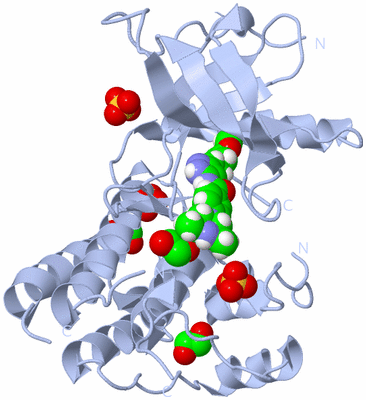 Image Biological Unit 1