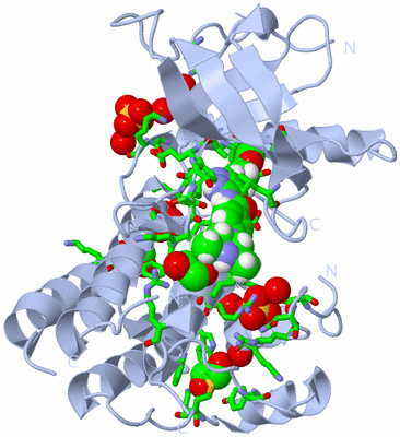 Image Biol. Unit 1 - sites