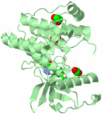 Image Biological Unit 2