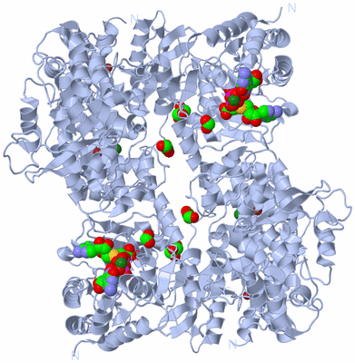 Image Biological Unit 1