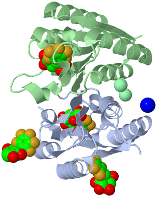 Image Asym./Biol. Unit