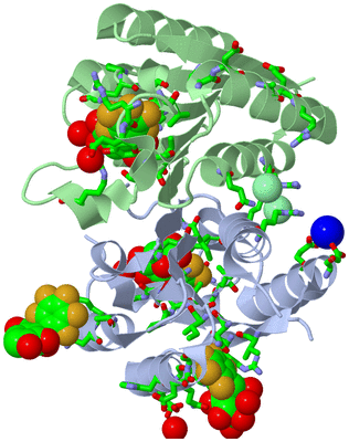 Image Asym./Biol. Unit - sites