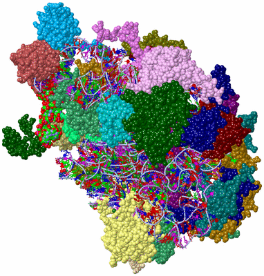 Image Asym./Biol. Unit