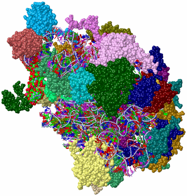 Image Asym./Biol. Unit - sites