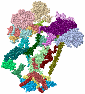 Image Asym./Biol. Unit - sites