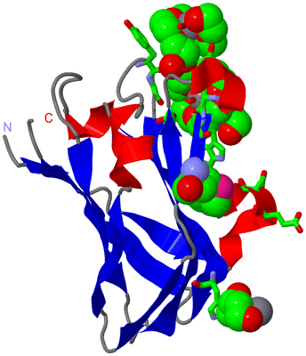 Image Asym./Biol. Unit - sites