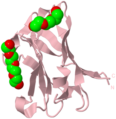 Image Biological Unit 3