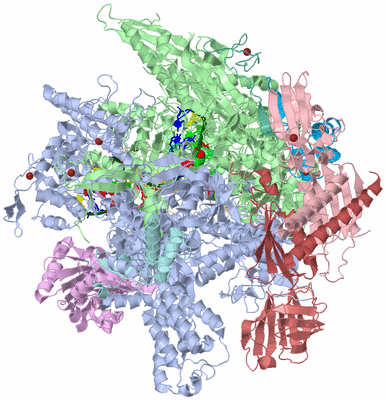 Image Asym./Biol. Unit