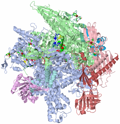 Image Asym./Biol. Unit - sites