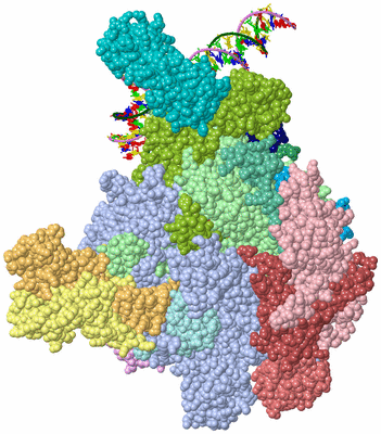 Image Asym./Biol. Unit