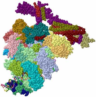 Image Asym./Biol. Unit - sites