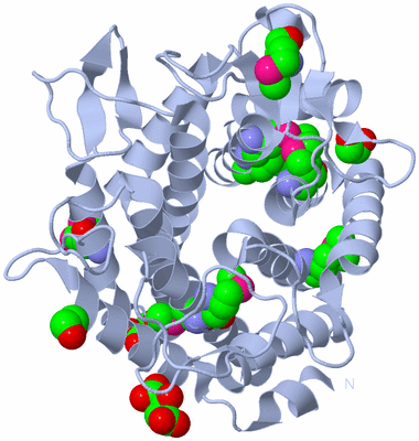 Image Biological Unit 1