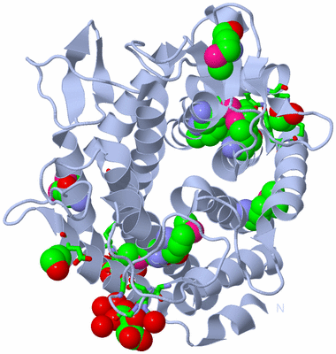 Image Biol. Unit 1 - sites