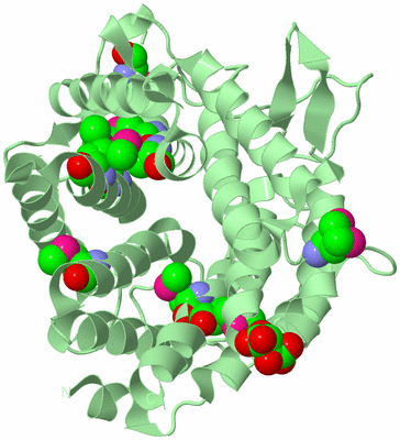 Image Biological Unit 2