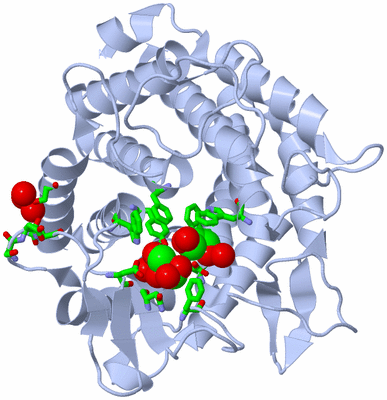 Image Biol. Unit 1 - sites