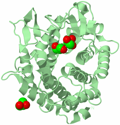 Image Biological Unit 2